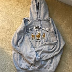 Brandy Melville One Size Oversized Hoodie Grey worn once or twice